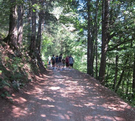 Tana dell’Ermellino e Lago di Andalo Trail .